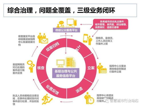 社會(huì)綜合治理大數(shù)據(jù)解決方案 數(shù)據(jù)處理核心架構(gòu)與實(shí)踐
